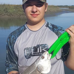 Meet your Posher, Gregory